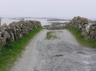 A Clare road - they're not all like this one!